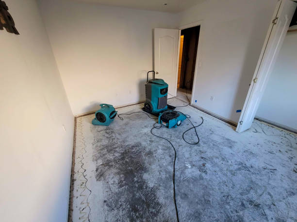 Best Water damage contractors near me  in Salinas, CA