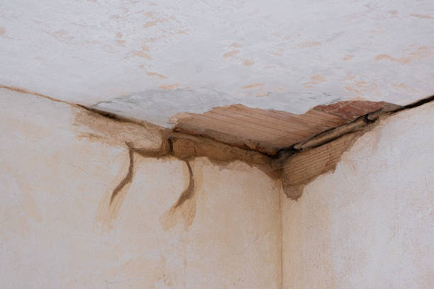 Best Commercial water damage restoration  in Salinas, CA