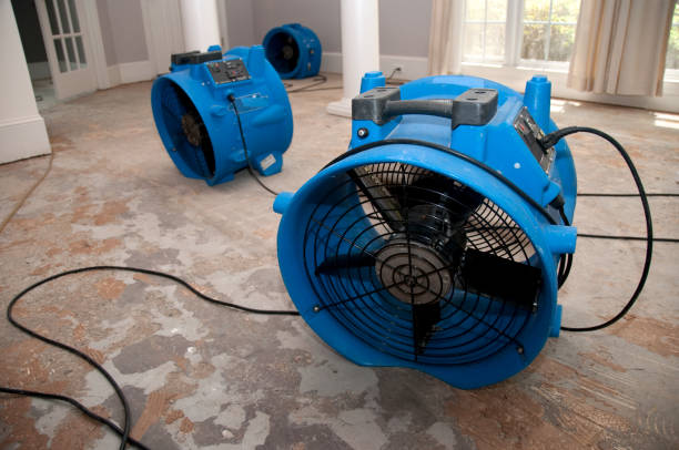 Best Emergency water extraction  in Salinas, CA
