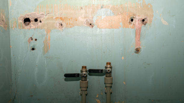 Best 24/7 water damage repair  in Salinas, CA