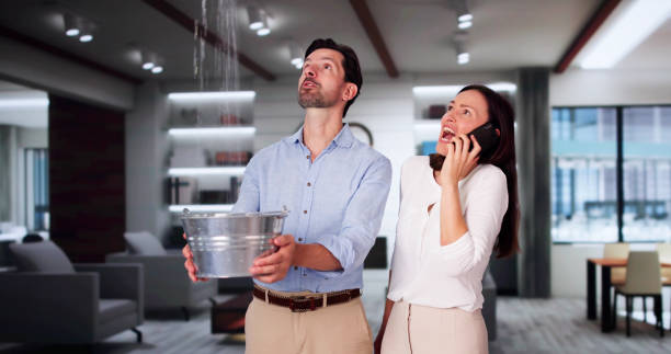 Best Mold removal after water damage  in Salinas, CA