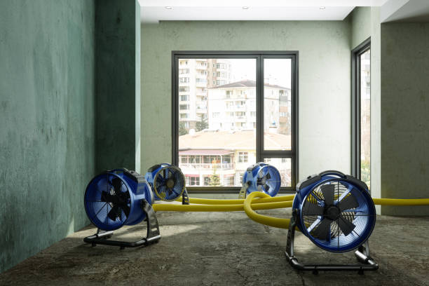 Best Flood restoration services  in Salinas, CA